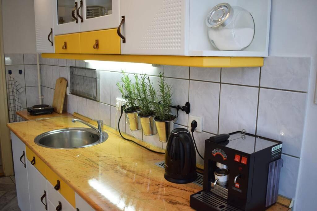 Cosy Apartment Just Next To Parliament بودابست المظهر الخارجي الصورة
